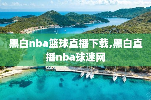 黑白nba篮球直播下载,黑白直播nba球迷网