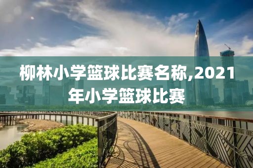 柳林小学篮球比赛名称,2021年小学篮球比赛