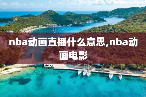 nba动画直播什么意思,nba动画电影