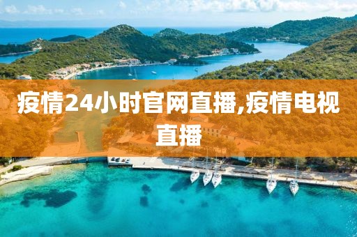 疫情24小时官网直播,疫情电视直播