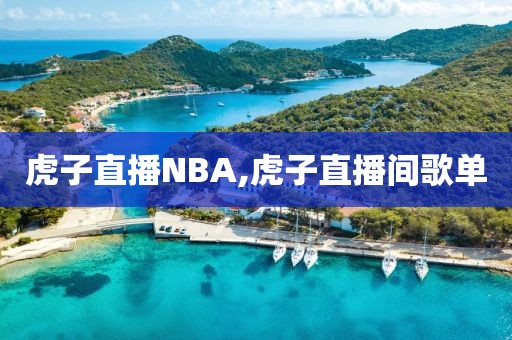 虎子直播NBA,虎子直播间歌单