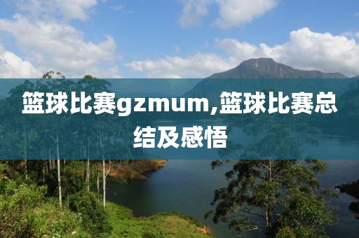 篮球比赛gzmum,篮球比赛总结及感悟