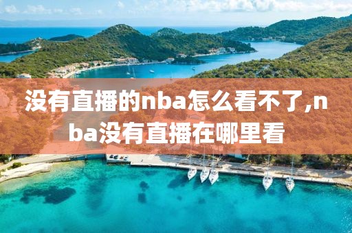 没有直播的nba怎么看不了,nba没有直播在哪里看