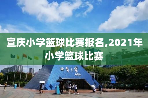 宣庆小学篮球比赛报名,2021年小学篮球比赛