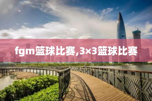 fgm篮球比赛,3×3篮球比赛