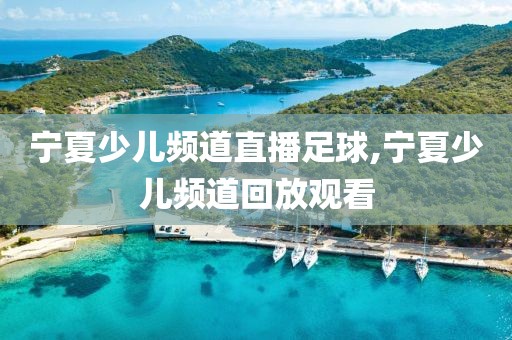 宁夏少儿频道直播足球,宁夏少儿频道回放观看