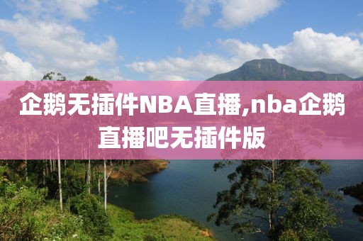 企鹅无插件NBA直播,nba企鹅直播吧无插件版