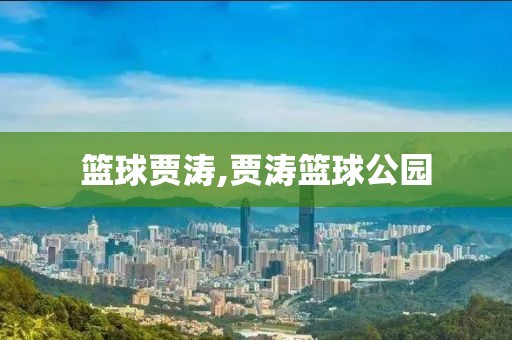 篮球贾涛,贾涛篮球公园