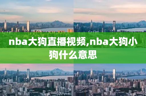 nba大狗直播视频,nba大狗小狗什么意思