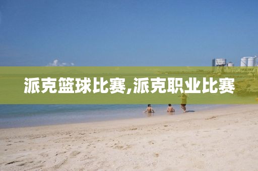派克篮球比赛,派克职业比赛
