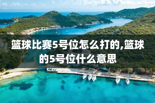 篮球比赛5号位怎么打的,篮球的5号位什么意思