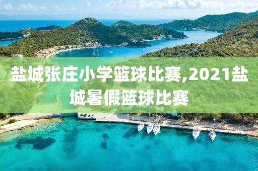 盐城张庄小学篮球比赛,2021盐城暑假篮球比赛