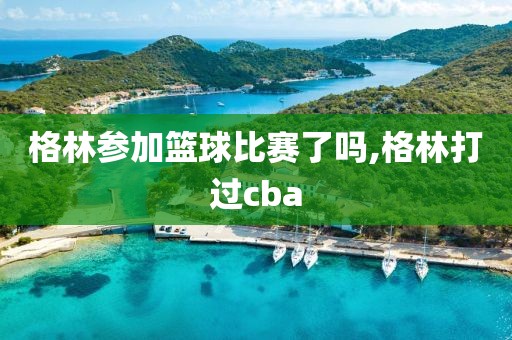 格林参加篮球比赛了吗,格林打过cba