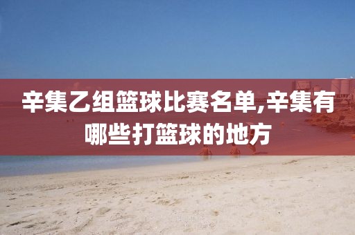 辛集乙组篮球比赛名单,辛集有哪些打篮球的地方