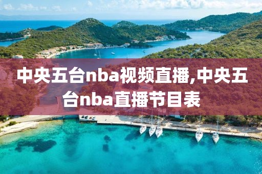 中央五台nba视频直播,中央五台nba直播节目表