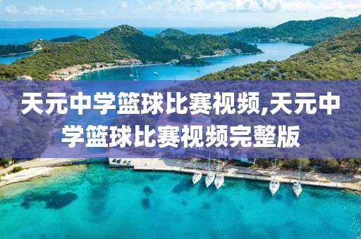 天元中学篮球比赛视频,天元中学篮球比赛视频完整版