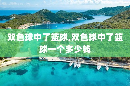双色球中了篮球,双色球中了篮球一个多少钱