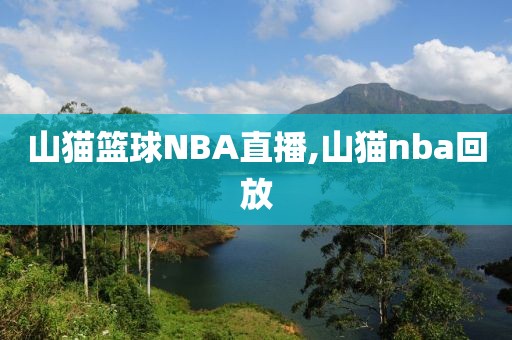 山猫篮球NBA直播,山猫nba回放