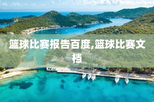 篮球比赛报告百度,篮球比赛文档