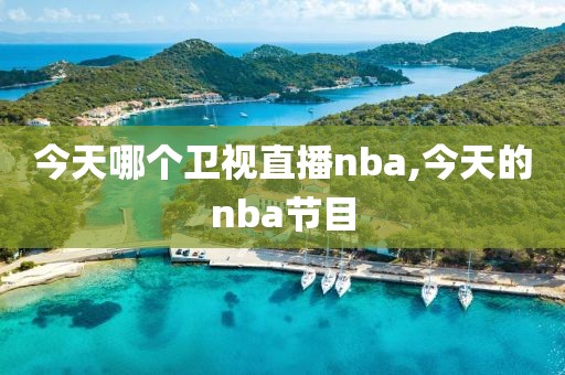 今天哪个卫视直播nba,今天的nba节目