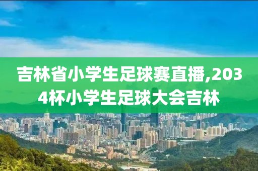 吉林省小学生足球赛直播,2034杯小学生足球大会吉林