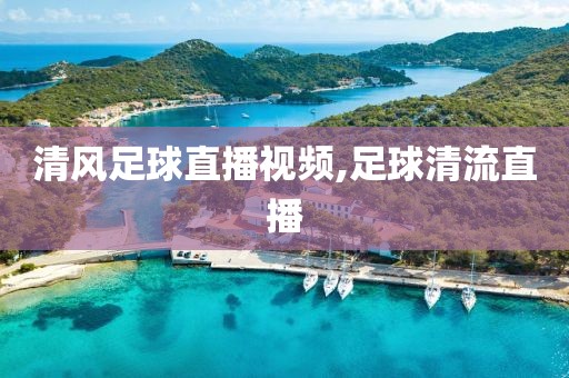 清风足球直播视频,足球清流直播