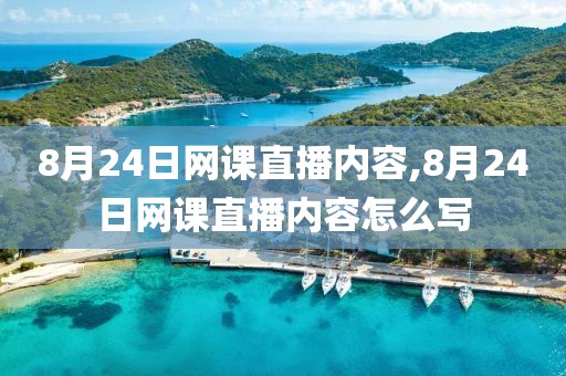 8月24日网课直播内容,8月24日网课直播内容怎么写