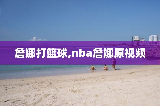 詹娜打篮球,nba詹娜原视频