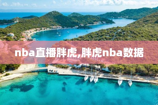 nba直播胖虎,胖虎nba数据