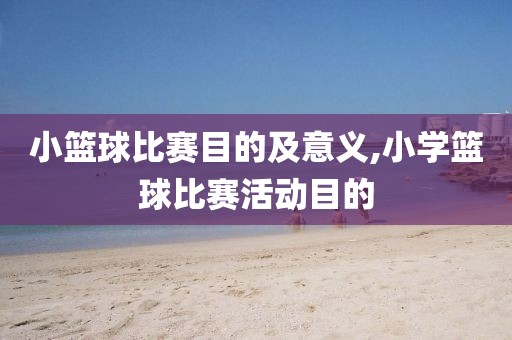 小篮球比赛目的及意义,小学篮球比赛活动目的