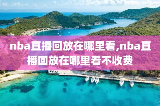 nba直播回放在哪里看,nba直播回放在哪里看不收费