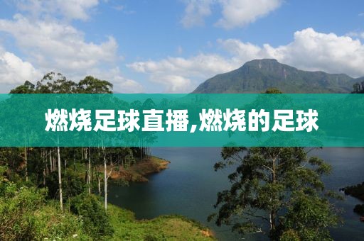 燃烧足球直播,燃烧的足球