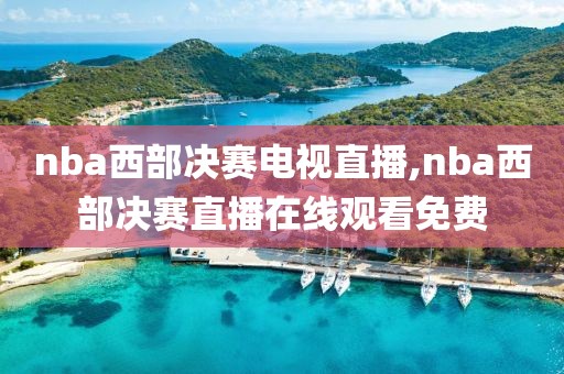 nba西部决赛电视直播,nba西部决赛直播在线观看免费