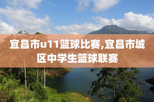 宜昌市u11篮球比赛,宜昌市城区中学生篮球联赛