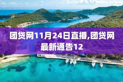 团贷网11月24日直播,团贷网最新通告12