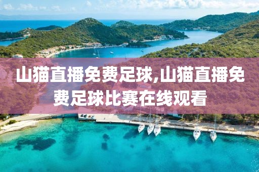 山猫直播免费足球,山猫直播免费足球比赛在线观看