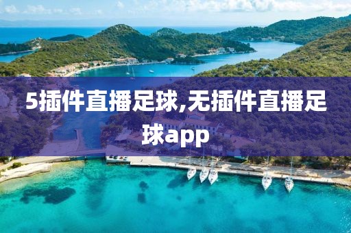 5插件直播足球,无插件直播足球app
