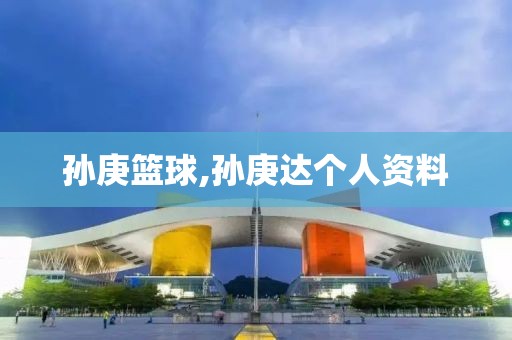 孙庚篮球,孙庚达个人资料