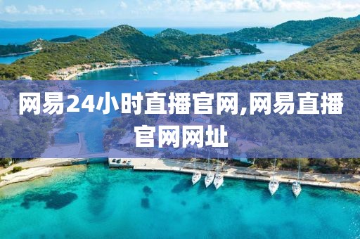 网易24小时直播官网,网易直播官网网址