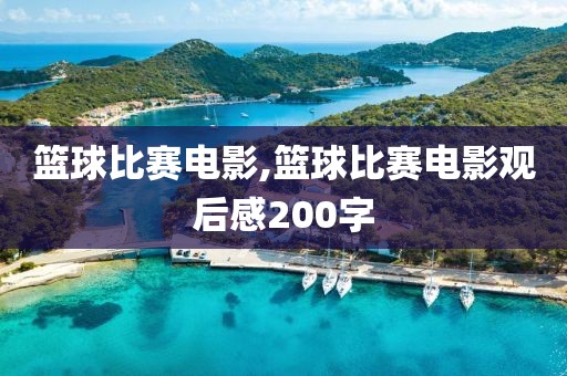 篮球比赛电影,篮球比赛电影观后感200字