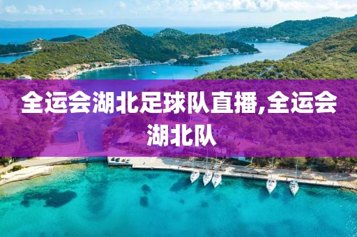 全运会湖北足球队直播,全运会 湖北队