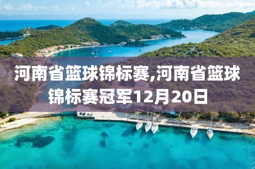 河南省篮球锦标赛,河南省篮球锦标赛冠军12月20日