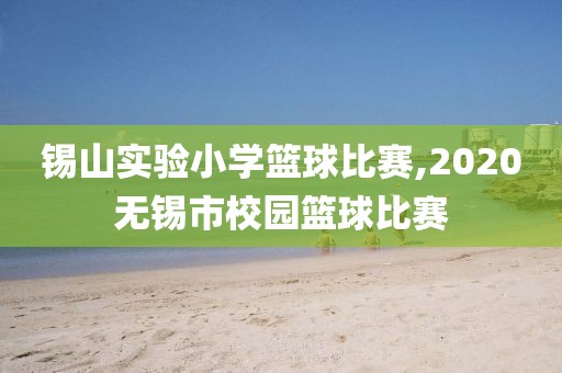 锡山实验小学篮球比赛,2020无锡市校园篮球比赛