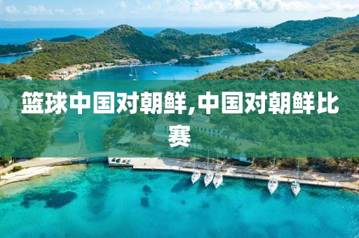 篮球中国对朝鲜,中国对朝鲜比赛