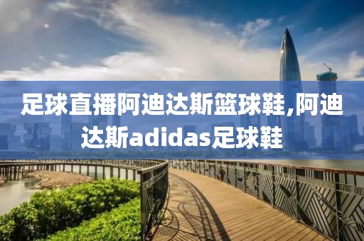 足球直播阿迪达斯篮球鞋,阿迪达斯adidas足球鞋