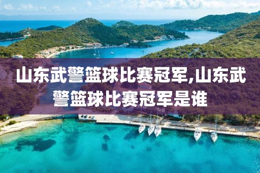 山东武警篮球比赛冠军,山东武警篮球比赛冠军是谁