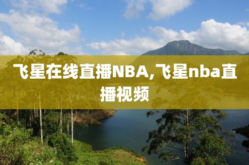 飞星在线直播NBA,飞星nba直播视频