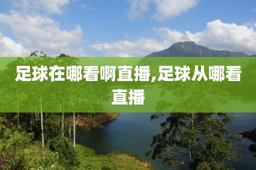 足球在哪看啊直播,足球从哪看直播