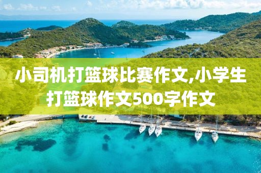 小司机打篮球比赛作文,小学生打篮球作文500字作文