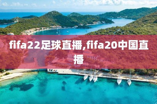 fifa22足球直播,fifa20中国直播